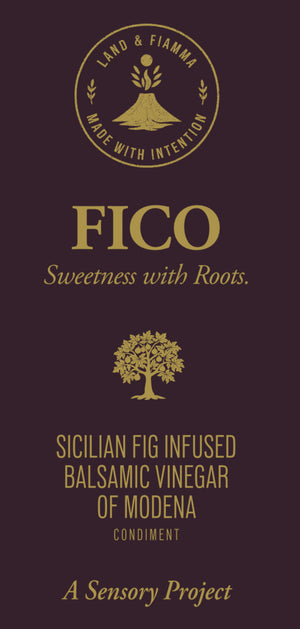 Fico Balsamico di Modena