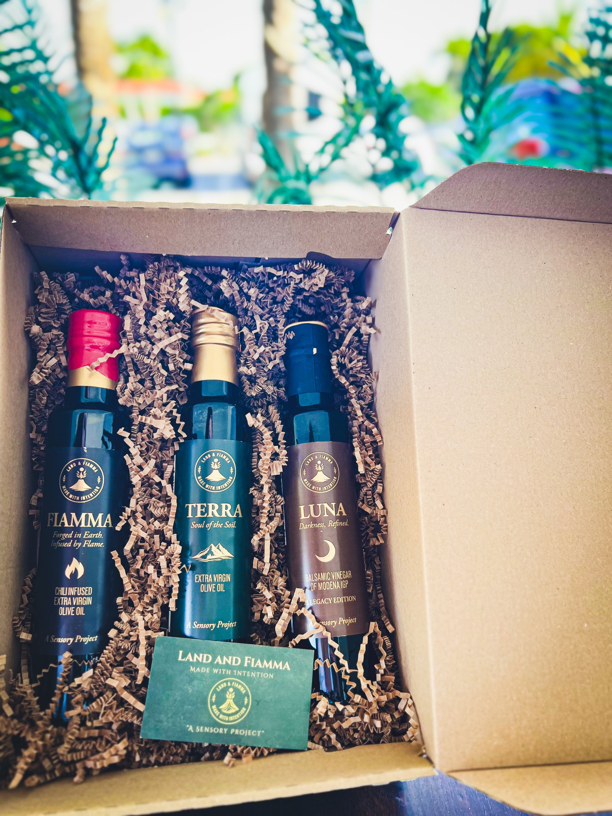 Sensory Debut Collection