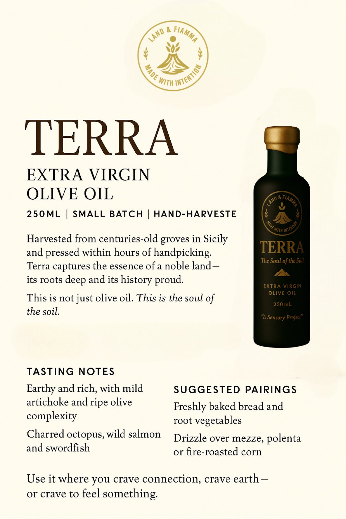 TERRA – Signature Extra Virgin Olive Oil